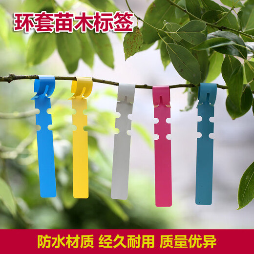 Shipton PVC waterproof ring set flower plant label seedling gardening label plastic orchid label ring buckle tag ring set - green (100 photos)