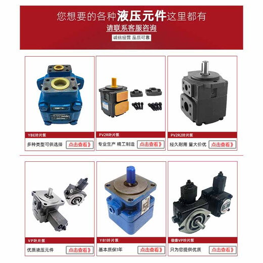 Guangye hydraulic vane pump YBE-80/100/125/160/200 hydraulic pump assembly accessories small hydraulic pump Hongyi YBE-10 (Xianju Yongling)