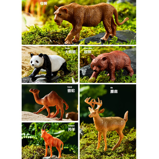 Teddy Shiguang Children's Simulation Animal Model Toys Boys and Girls Safari Farm Mini 12 Pack Birthday Gifts
