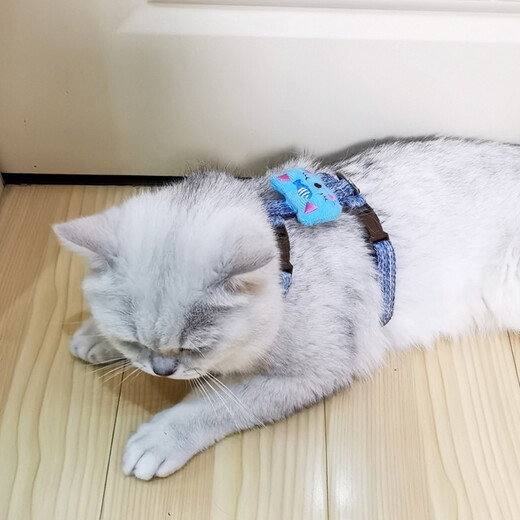 Kangbeini cat rope traction rope I-shaped cat harness to prevent breakaway kitten and adult cat walking rope cat supplies blue S small size/1-6Jin Jin equal to 0.5kg for cats
