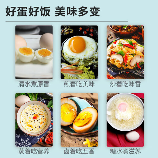 Jingxijia fresh eggs, local eggs, grain-fed, mountain self-raised eggs, soft-boiled eggs, breakfast Jingdong 40g, 2 pieces, about 40g Jingxijia fresh eggs, local eggs, grain-fed, mountain self-raised eggs, soft-boiled eggs, breakfast Jingdong 40g, 2 pieces, about 40g