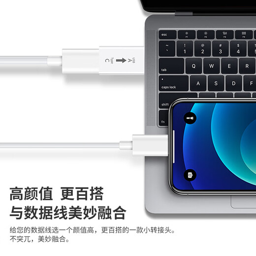 Snowkids Type-C Adapter USB3.2Gen2 Mobile Phone U Disk OTG 10Gbps Data Cable Car Apple Expansion USB-C Adapter iPhone15-17 Tablet iPad Hard Drive