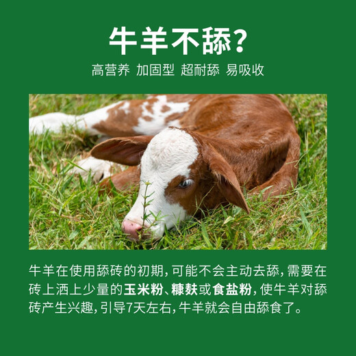 Baiyun Mugang Cattle and Sheep Licking Bricks Salt Bricks for Cattle and Sheep Nutritional Trace Elements Reinforced Mineral Feed Additives Pica and Stomach High Calcium Type Licking Bricks 2 boxes (a total of 80Jin Jin is equal to 0.5kg)