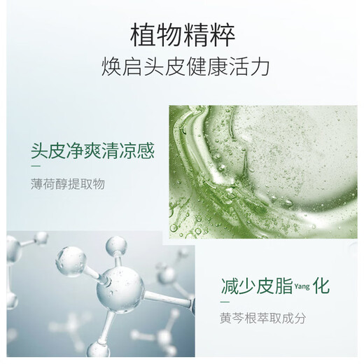 Shiseido Professional Hairdressing (SHISEIDO PROFESSIONAL) Core Care Dao Fang Fang scalp oil control shampoo. Women’s imported clean, greasy and odor-removing dandruff refreshing scalp Xin Fang Fang Fang Fang Fang scalp oil control shampoo 1000ml