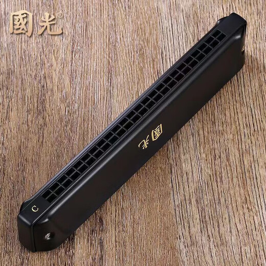 国光进口音簧国光口琴正品24孔复音#A/B/C/D/F/G调/降/成人专业演奏级 E调