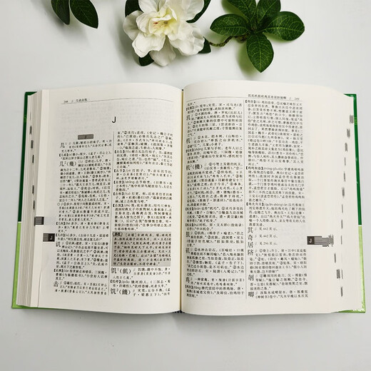 古代汉语词典（学生专版）