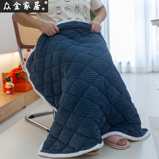 Small throw blanket, extra thick knee-length blanket, baby winter leg blanket, thickened quilted student office worker, quilted leg blanket (pink) plush, 100cm long, 80cm wide