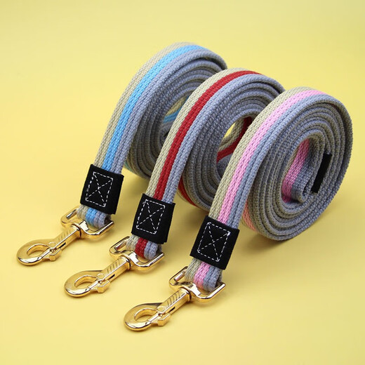 Dogstory medium and large dog rope canvas dog collar traction rope plus long collar collar small dog training traction rope dog walking rope yellow 1.5 meter long rope plus collar XS number (6-15Jin Jin is equal to 0.5 kg)