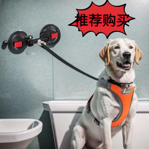 Wanlian dog bathing holder, dog suction cup, large dog holder, dog tying artifact, large pulling force 120 Jin Jin is equal to 0.5 kg, dog suction cup (large suction force 40 Jin Jin is equal to 0.5 kg)