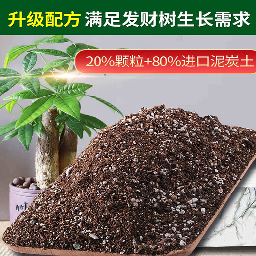 Devoduo money tree special plant nutrient soil 2.6kg gardening green plant potted flower soil planting organic matrix soil