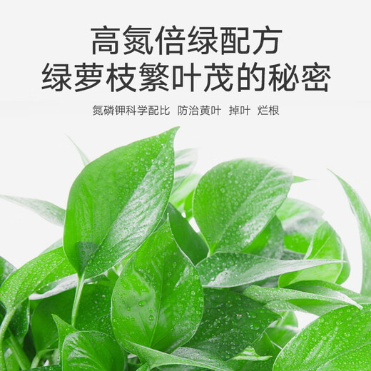 Lupan hydroponic pothos nutrient solution special fertilizer to prevent yellow leaves and root rot in soil culture 500ML concentrated plant leaves turn green