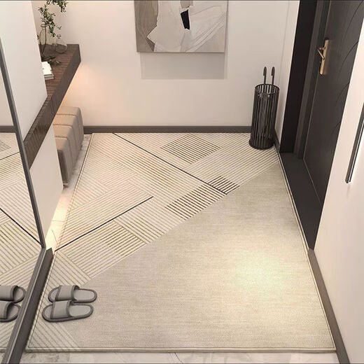 Feather pocket entrance door floor mat entrance floor mat entrance non-slip door mat household light luxury stain-resistant water-absorbent door mat TPR-01 80*100cm non-slip gray bottom-loop velvet