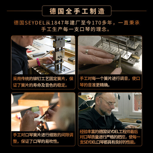 SEYDEL德国进口SEYDEL赛德 十孔10蓝调成人口琴 1847 CLASSIC 10孔E调