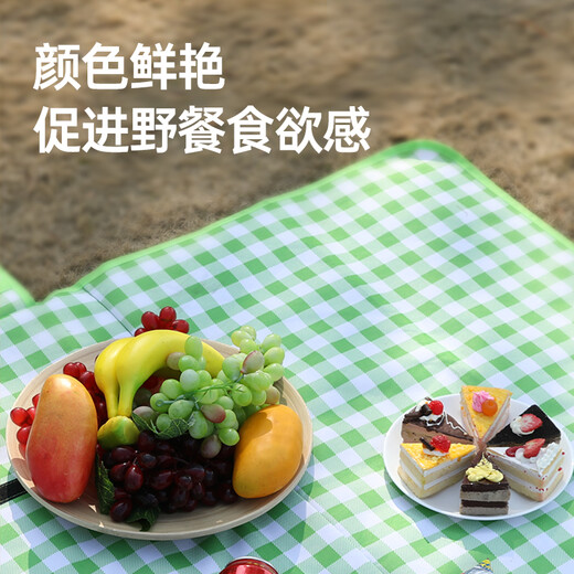 Etravel Picnic Mat Outdoor Thickened Moisture-proof Mat Oxford Cloth Portable Tent Mat Beach Mat 2m*2m