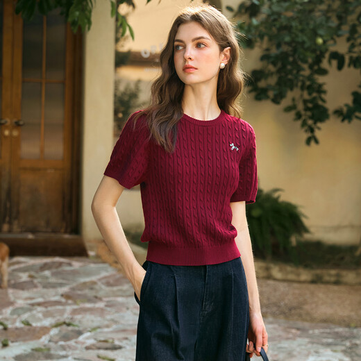 Olrain French short-sleeved T-shirt women's spring 2025 commuting round neck knitted pullover Ancora M