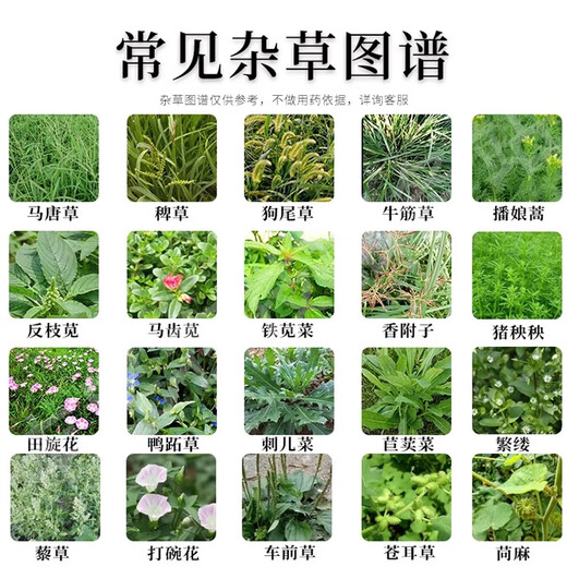 95% glyphosate herbicide orchard wasteland cow tendon grass setaria reed removal of rotten roots and dead root pesticide 95% high content glyphosate, removal of weeds and roots 80g 1 set