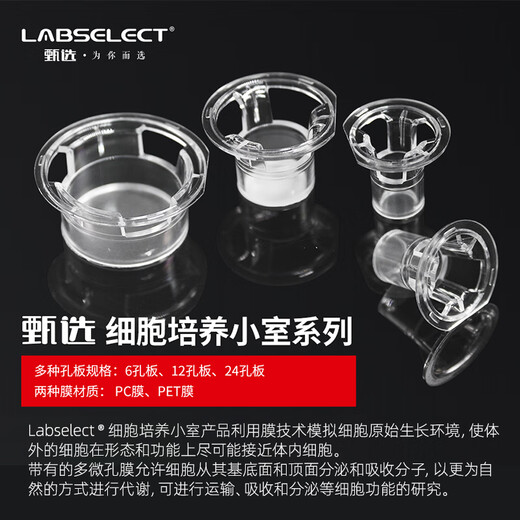 Placa de cultivo de cámara celular con membrana de PC/PET de 6 pocillos, 12 pocillos y 24 pocillos, membrana de PET de poliéster de 3,0 um de 6 pocillos transwell 14122
