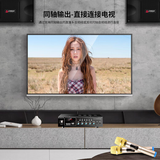 志高（CHIGO） 家庭影院ktv音响套装家用K歌点歌带话筒卡拉ok无线蓝牙功放一体机音箱全套设备 尊享+无线话筒*2+16寸点歌机*1