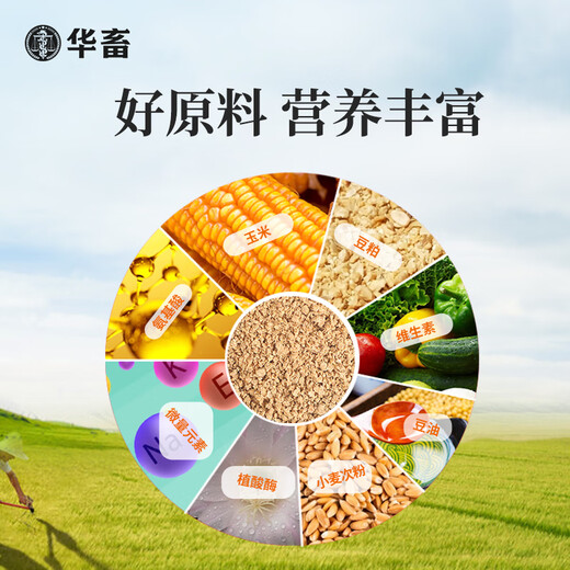 Huazhu chick feed pellets, chick feed, full price feed, meat, eggs, chicken, quail, rutin, chicken, fish bait, duck feed, high protein chick feed, 2 Jin Jin equal to 0.5 kg