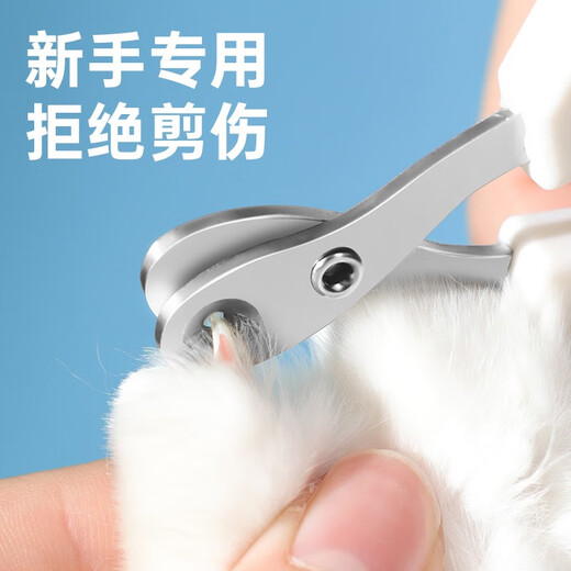 KimPets Cat Nail Clipper, Pet Nail Clipper, Cat Nail Clipper, Novice Kitten, Dog and Cat Paw Scissors, Blue Slanted Mouth