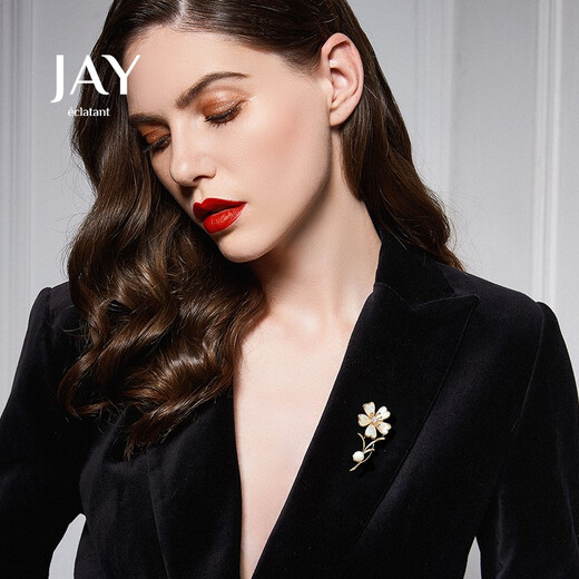 Jay brooch, high-end feminine corsage accessories gift box, birthday gift for mother, mother-in-law and elders