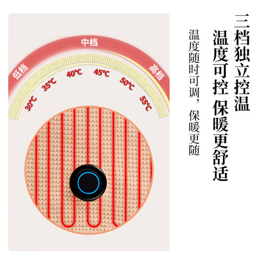 Ishizaki Seiki Electric Heating Warming Blanket Heating Warming Shawl USB Washable Cover Leg Shawl Outdoor Home Office Khaki Apricot Gift Bag 1