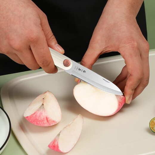 Zhang Xiaoquan Kitchen Stainless Steel Portable Fruit Knife Household Peeling Knife Melon and Fruit Knife Knife with Knife Cover Foldable