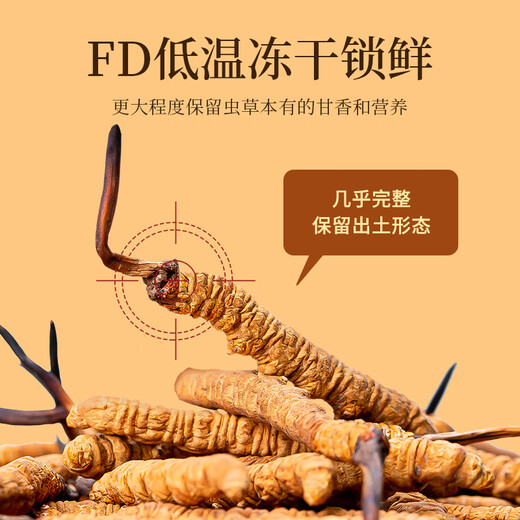 Tongfu Cordyceps sinensis 2-3 roots/g 100g About 250 roots gift boxes, nourishing nutritional products, gifts for elders
