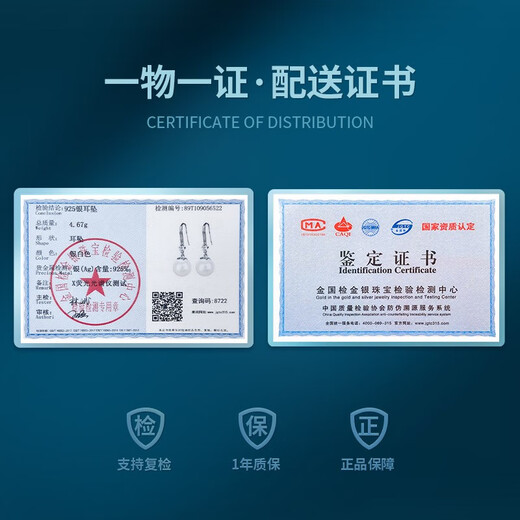 Mini&yaya pearl earrings for women, long s925 silver earrings, earrings, birthday and Valentine's Day gifts for girlfriend and wife, imported zircon* pearl earrings