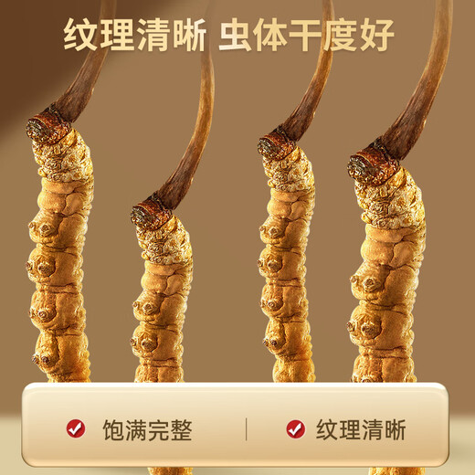 雷允上冬虫夏草3.2根/g 100g约320根虫草礼盒送长辈送领导礼品