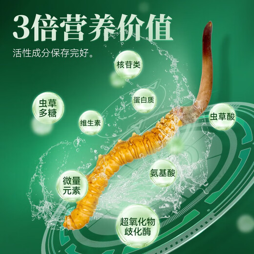 色季拉【新鲜虫草】色季拉 新鲜冬虫夏草 头茬新鲜虫草 高洁净健康滋补 0.8克/根 20根