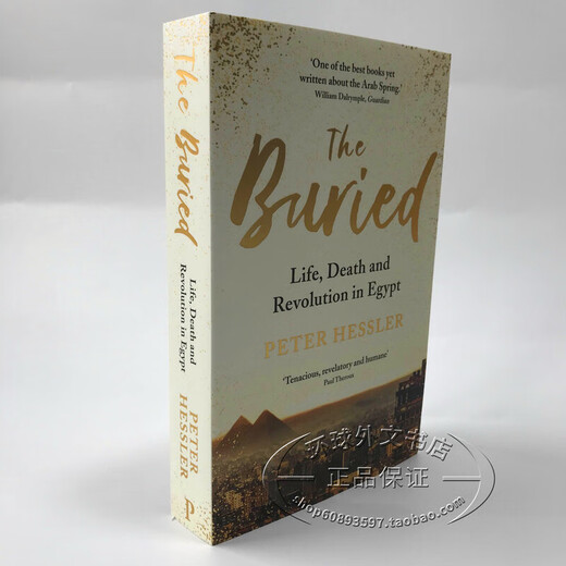 英文原版 The Buried 埃及革命考古学 Peter Hessler 何伟