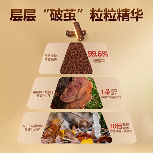 Huiji Broken Spore Powder Changbaishan Broken Ganoderma Spore Powder Capsules Spore Powder Soft Capsules 60 Capsules 1 Bottle 2 Bottles Take 30 Days Broken Ganoderma Spore Powder Capsules/