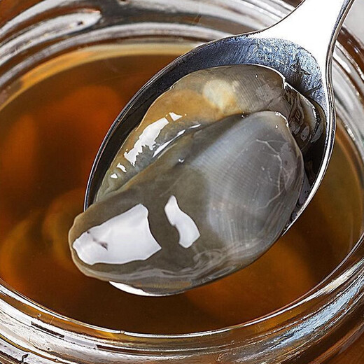 Mud snail ready-to-eat canned yellow mud snail fresh extra large drunk mud snail raw pickled Zhoushan specialty Ningbo seafood conch without sand small size raw pickled drunk mud snail 210g/can 1 can