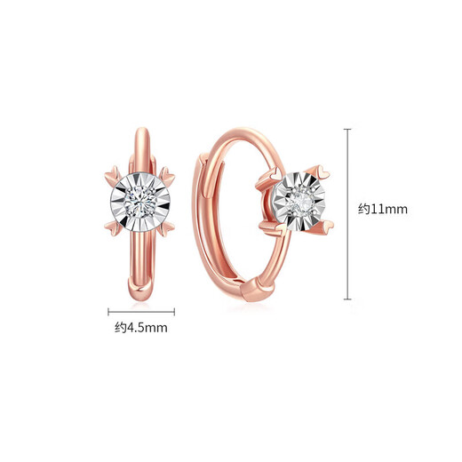 Trendy Acer Diamond 18K Gold Rose Gold Earrings Birthday Gift Women's Style To Jane EEK32204133 Focus