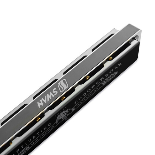 天鹅（SWAN）24孔复音口琴日本进口音簧高级专业演奏口琴C调（黑色）