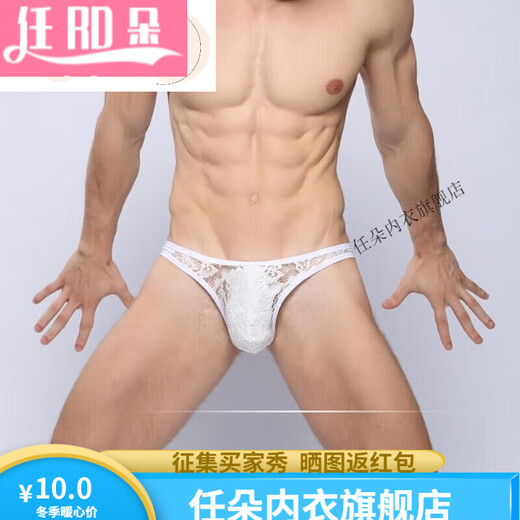 Renduo European and American men's lace thong underwear sexy underwear transparent 1 skin color L