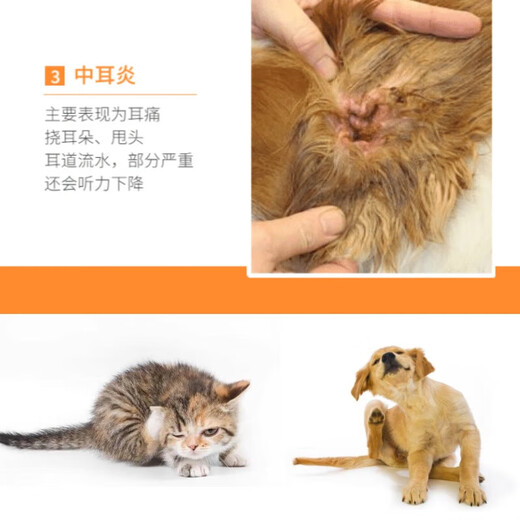 Special medicine for cat ear mites, pet earfuling ear anti-inflammatory ear drops, cleaning, removing mites, relieving itching, antibacterial cleaning liquid, single box, 10 ml bottle