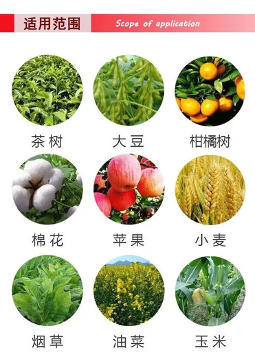 Jianpai 15% paclobutrazol rice, rape and peanut dwarfing agent chlormequat control and increase yield plant growth regulator 35g*10 bags