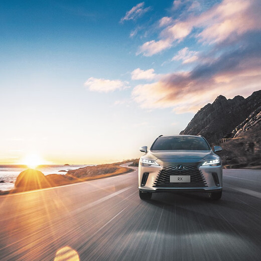 Lexus RX 1 Yuan Test Drive Voucher as a Gift Multifunctional Full Hybrid Medium and Large Luxury SUV RX 500h