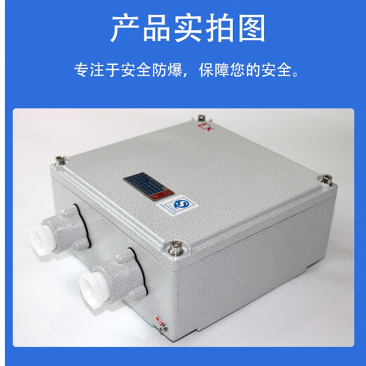 Explosion-proof junction box increased safety type 200*135 300*200 400*300 operation control box button junction box 135*135*98MM 2 6-point leads on the left and right