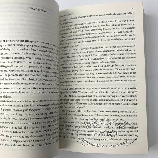 英文原版 The Buried 埃及革命考古学 Peter Hessler 何伟