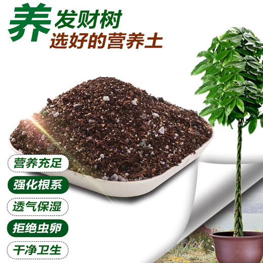Devoduo money tree special plant nutrient soil 2.6kg gardening green plant potted flower soil planting organic matrix soil