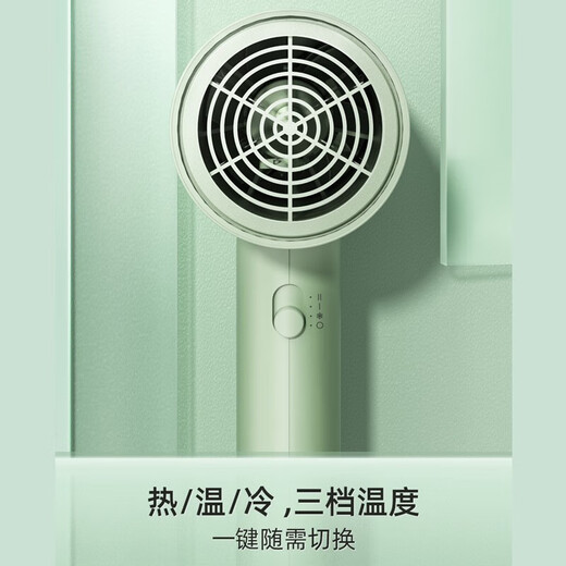 FLYCO hair dryer foldable blower negative ion hair care student dormitory high-power home barber shop hotel hair dryer FH6296 1800W non-foldable green