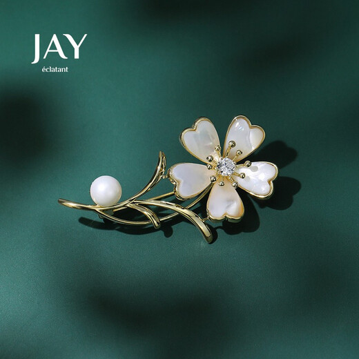 Jay brooch, high-end feminine corsage accessories gift box, birthday gift for mother, mother-in-law and elders