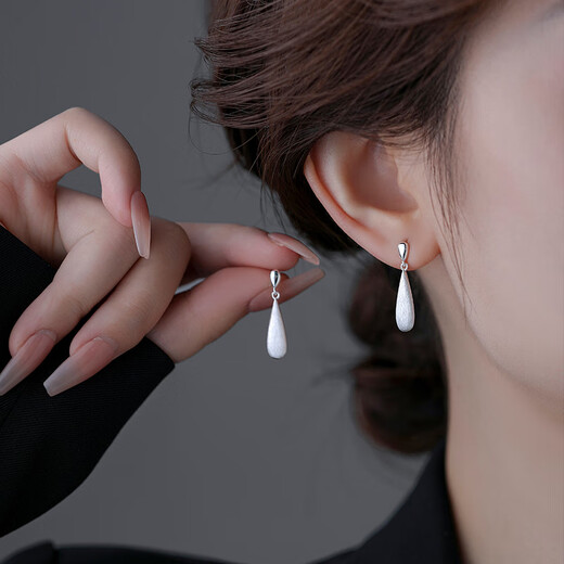 DAISY DREAM925 silver water drop tassel earrings women's light luxury niche design earrings 2025 new high-end cold style earrings tassel water drop earrings 925 silver