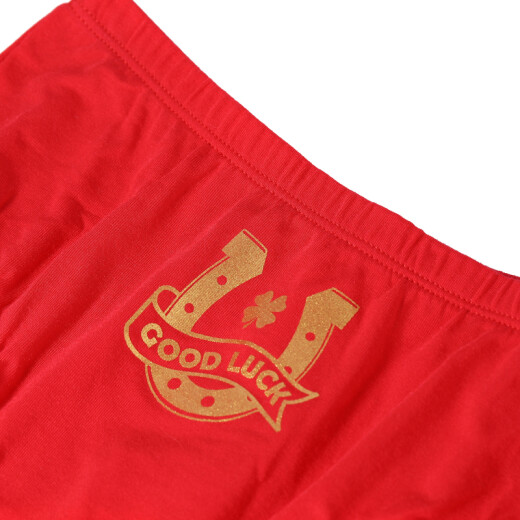 Optimized AimerKids children's underwear underwear modal bag girls mid-waist briefs (two-piece bag) AK1224171 red + printing ZS1160