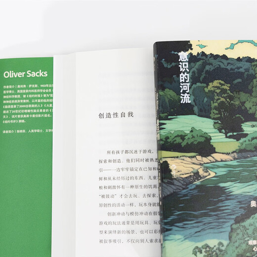 意识的河流 The River of Consciousness