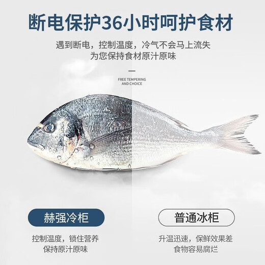 Heqiang Freezer Commercial Large Capacity Refrigerated Freezer Energy Saving Cabinet Commercial Freezer Double Door Silent Frozen Meat Cabinet 1028 Single Temperature Copper Tube Upgraded Version 1950*710*840