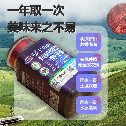 Zhensentang 2024 First Road New Powder Changbai Mountain Local Red Ganoderma Spore Powder 500g Organic Robe Powder Broken Spore Oil First Road Powder 500g Rich in Spore Oil, a total of two bottles (1 box of original Ganoderma lucidum tablets included)
